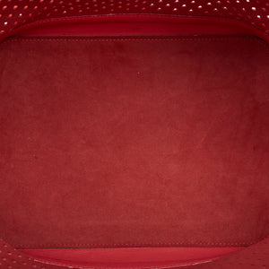 Louis Vuitton x Sofia Coppola Flore Perforated Noe Red