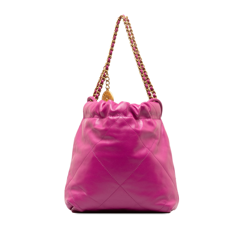 Chanel Mini Calfskin 22 Hobo Pink