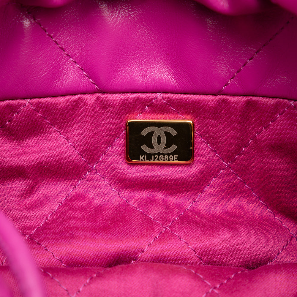 Chanel Mini Calfskin 22 Hobo Pink