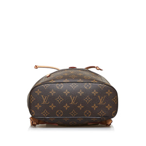 Louis Vuitton Monogram Montsouris NM Brown